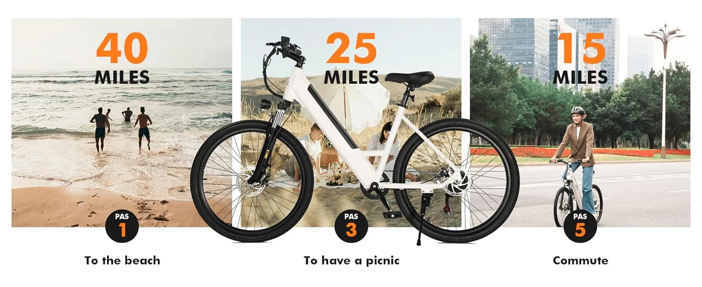 eBike Boys 750W Electric Bike - Step-Through Frame, 36V Battery